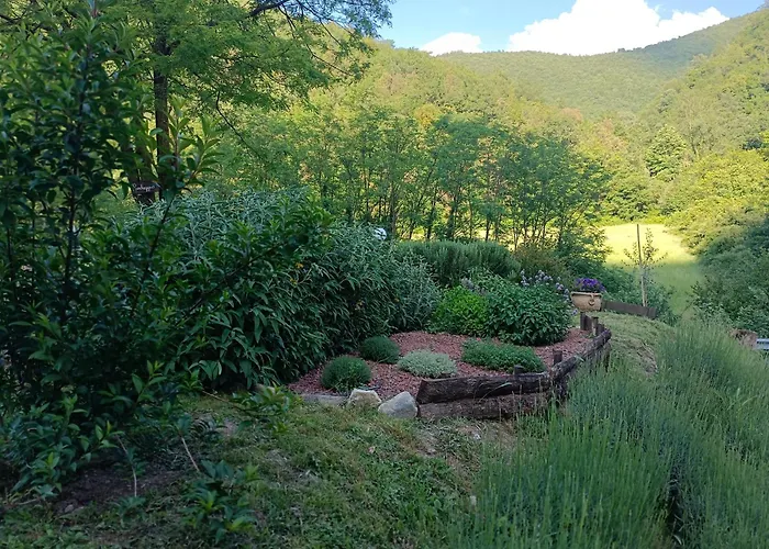 Locanda Di Alberi