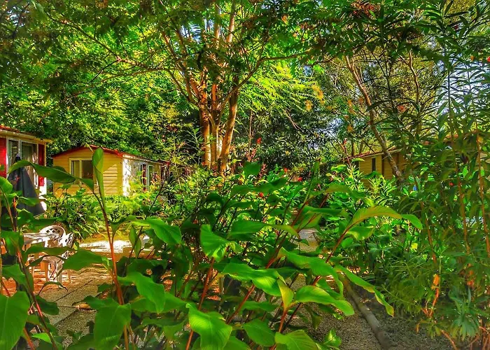 International Glamping Lago Di Bracciano