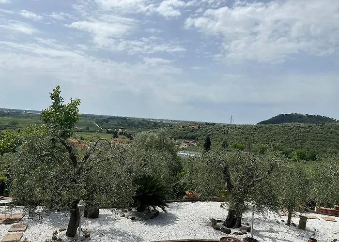 Agrihome Di Alberto Giuseppe Gulotta B&B Bella Vista Appartamento Salvia