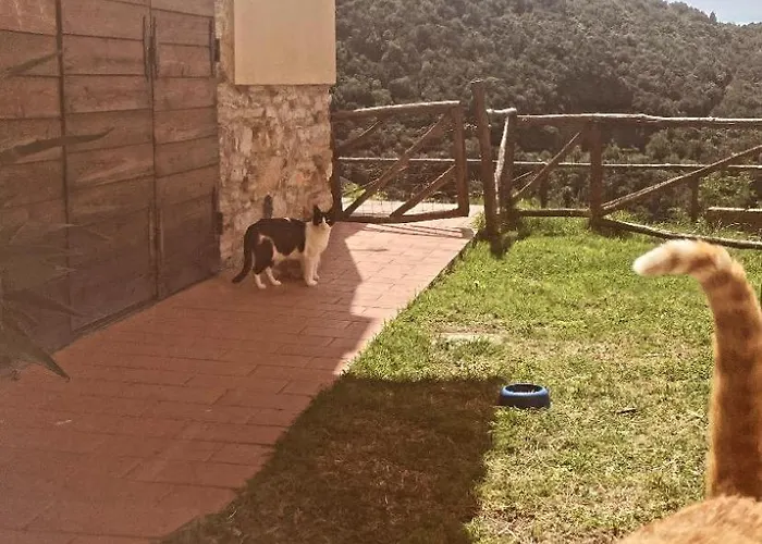 La Casa Stregatta