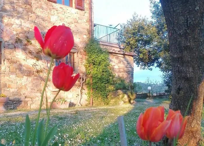 Casa Gioia
