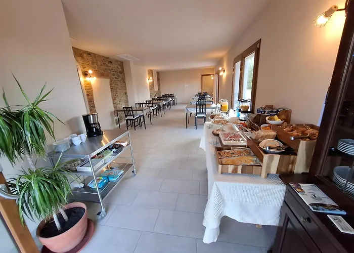 Agriturismo IL VECCHIO OLIVO