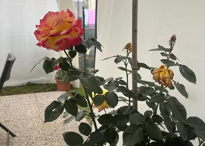 Casa Rei
