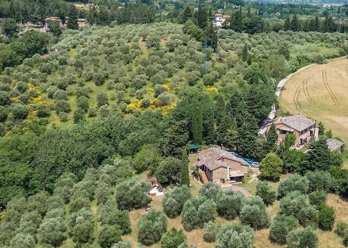 Montebello degli Olivi