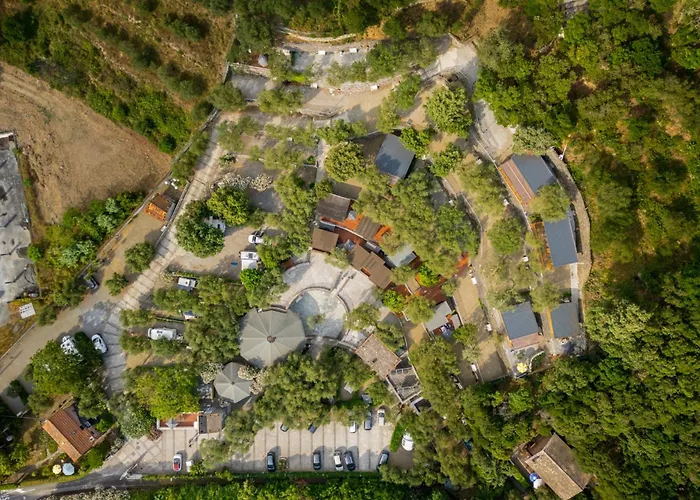 Glamping Degli Ulivi