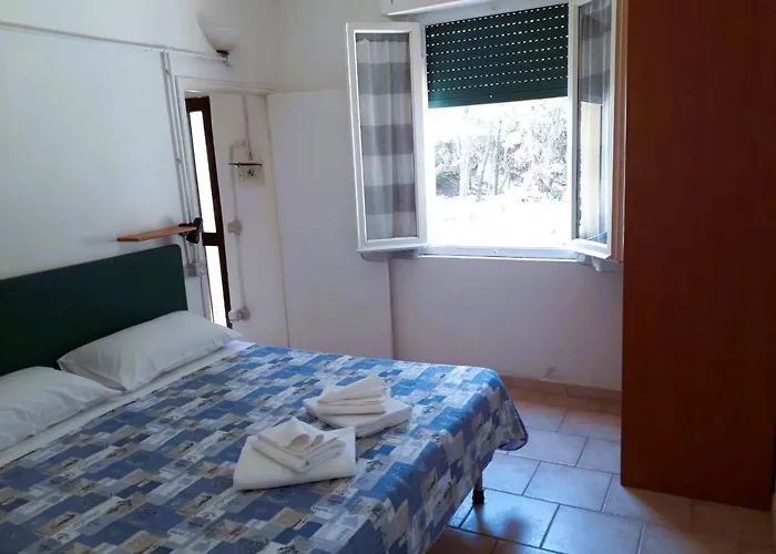 Bibbona Summer - Pineta 1 -
