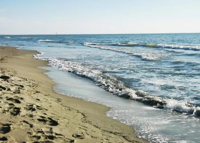 Oleandro Apartment By The Sea In Tirrenia