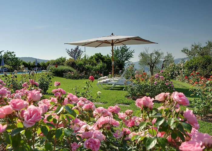 Villa Le Barone Panzano in Chianti