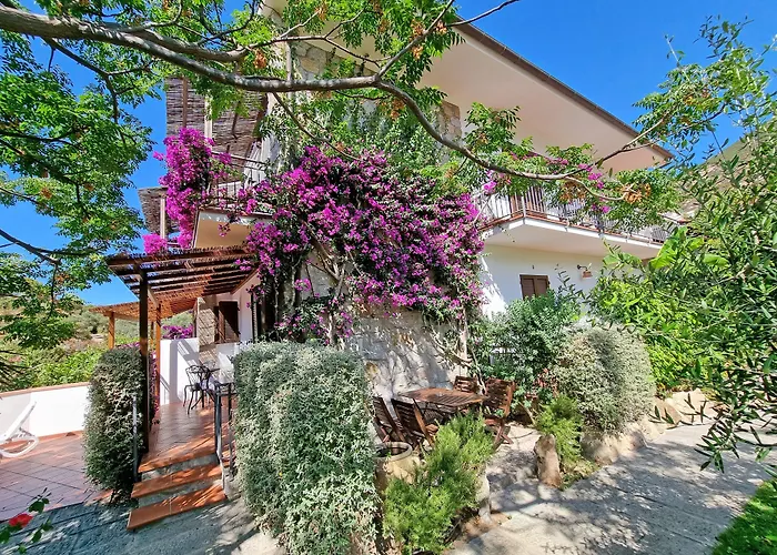 Hotel Montemerlo Fetovaia
