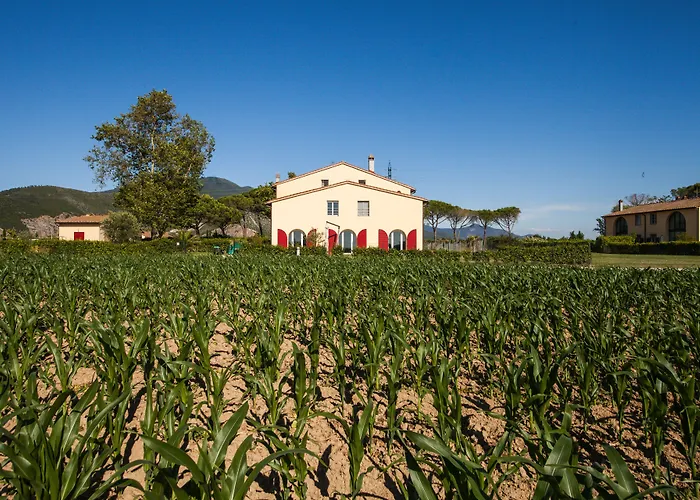 Cascina Canova B&B