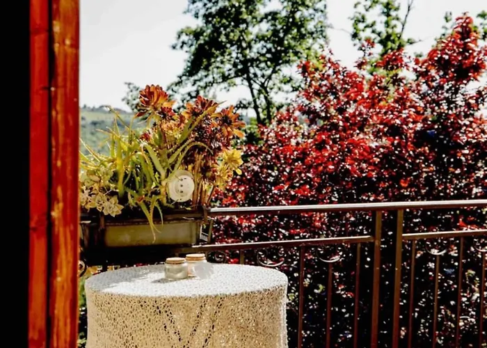 Chianti’s Art