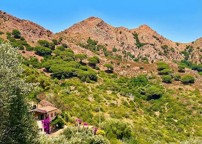 Aria di Collina - Isola d'Elba