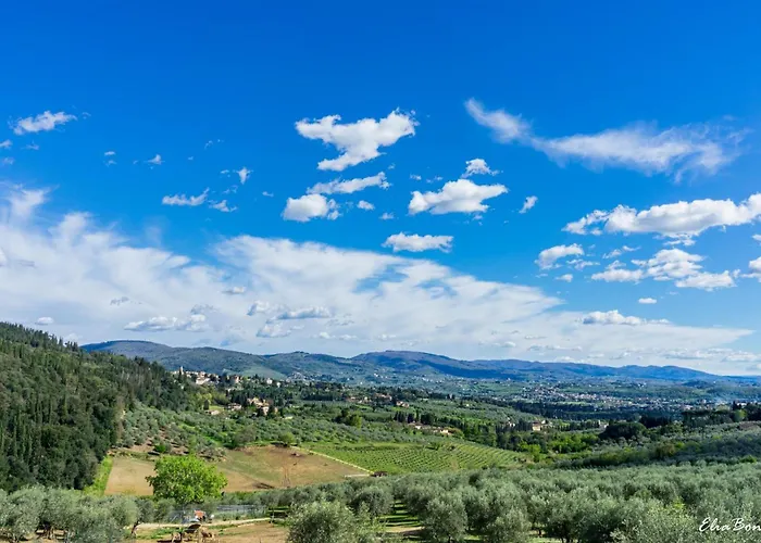 Fattoria di Maiano