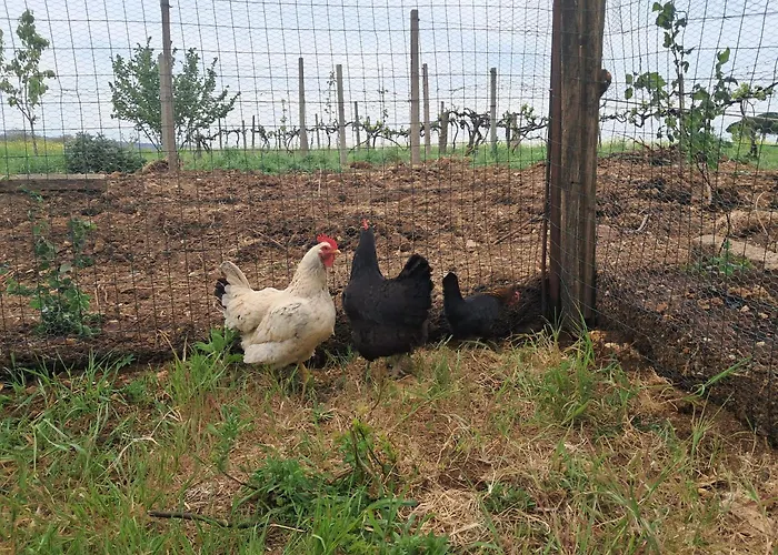 Agriturismo Bio Pian Dei Casali