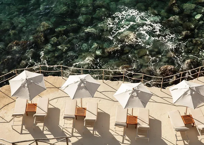 Il Pellicano