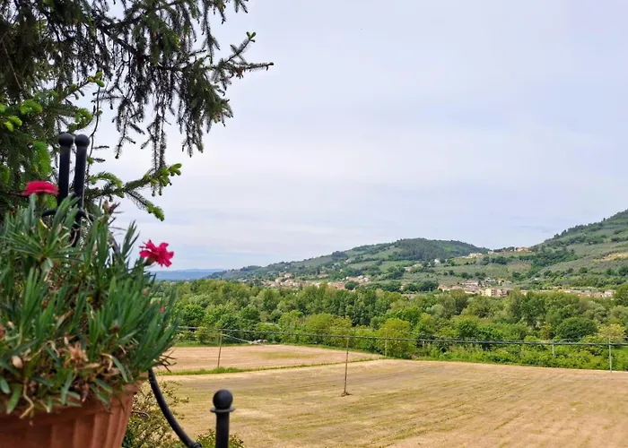 Oasi Gioia Verde