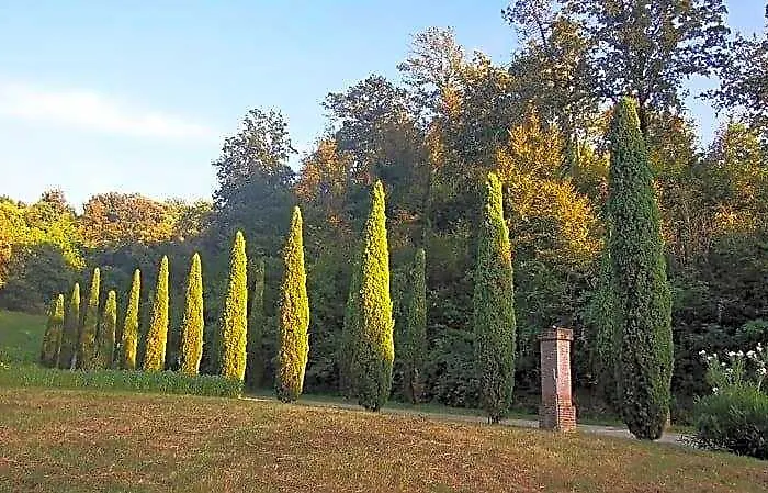 Agriturismo Montalto