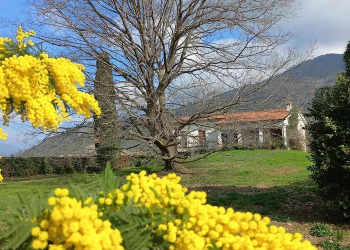 Villa la Quercia e il Cipresso