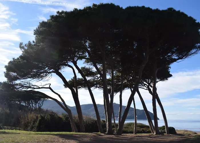 Agriturismo Barattis