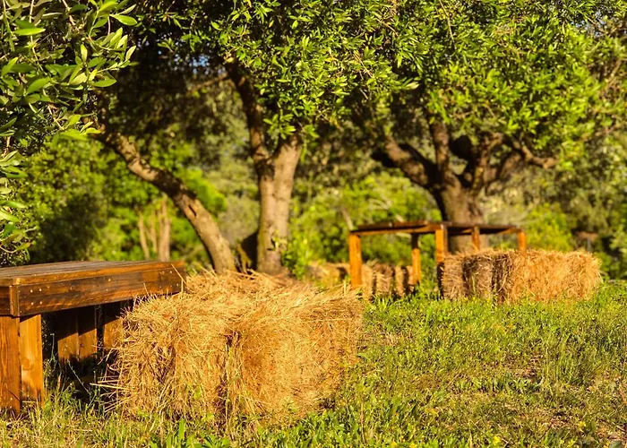 Le Piane Agriglamping