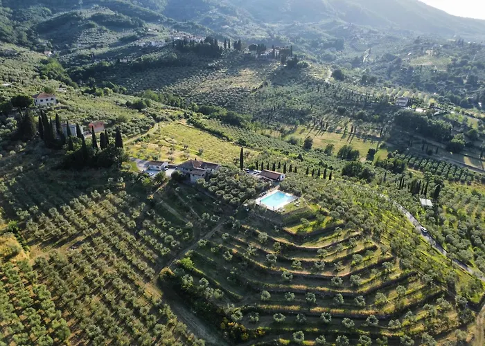 Tuscan Heaven Vinci And Pistoia