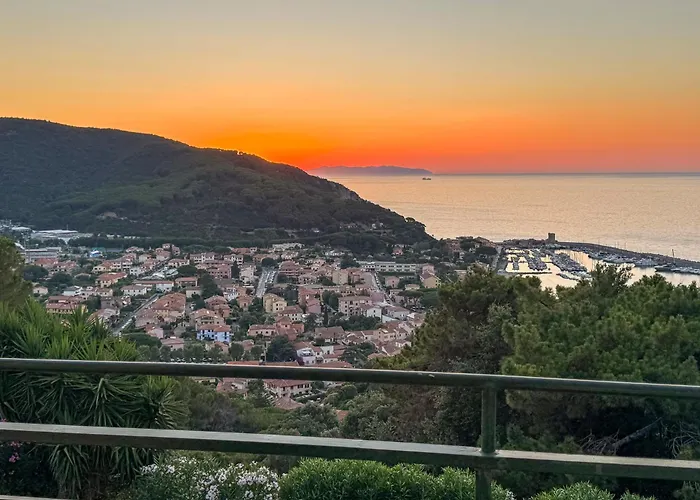 Alta Marina