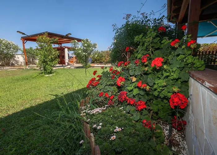 Mabell Guest House