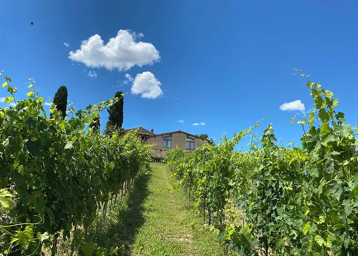Tenuta Sovestro