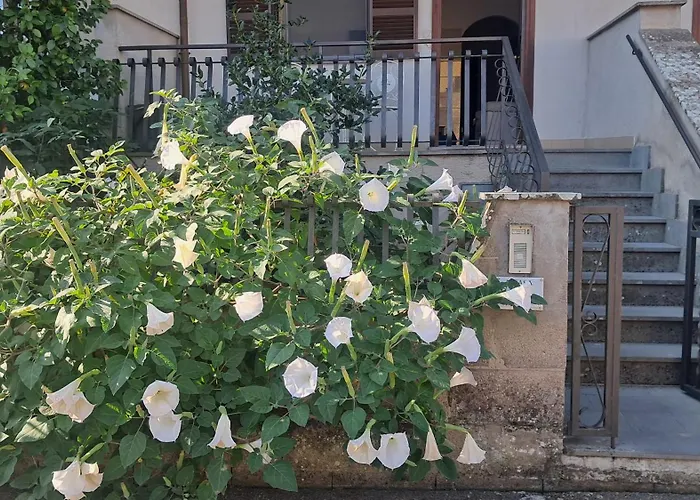 A Casa Ida