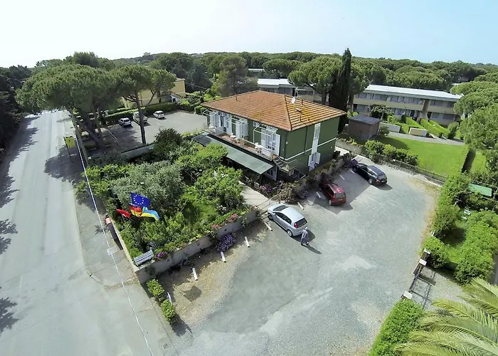 Villaedi