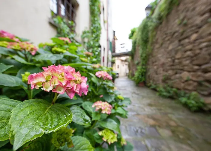 Bed and Breakfast San Michele al Borgo Castiglion Fiorentino
