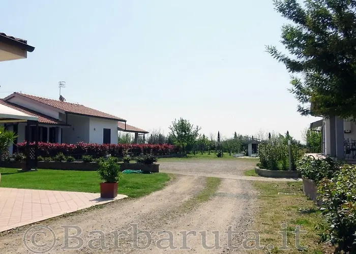 Barbaruta Rta
