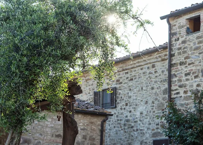 La Rimbecca Greve in Chianti