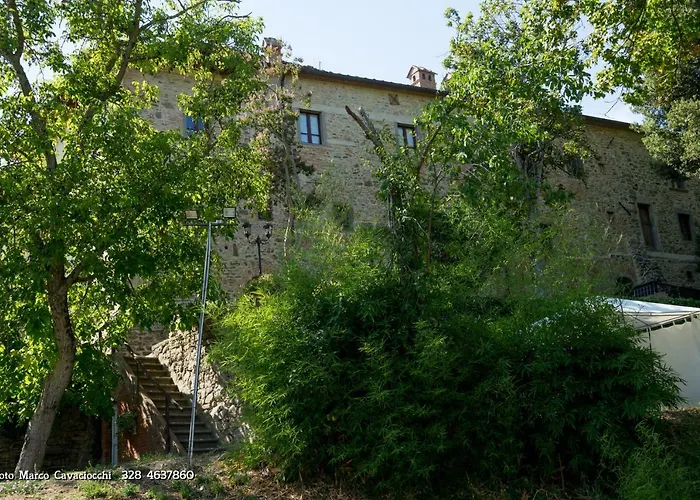Il Bosso di Toscana