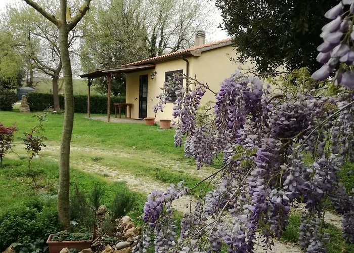 Agriturismo cavallin del papa
